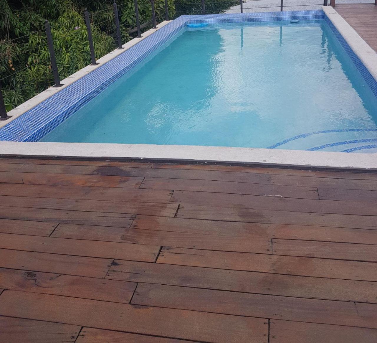 New Kingston Luxurious Secure Condo Εξωτερικό φωτογραφία